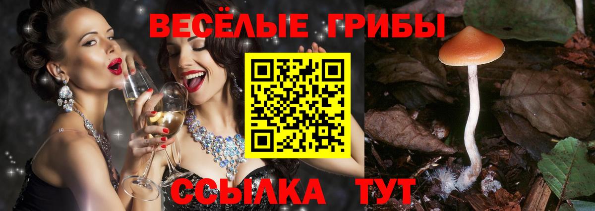 где купить   Вход с VPN  Гуково  Галлюциногенные грибы MAGIC MUSHROOMS 